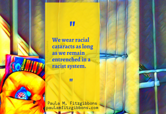 Battling the School to Prison Pipeline: A Primer for White Educators and Parents