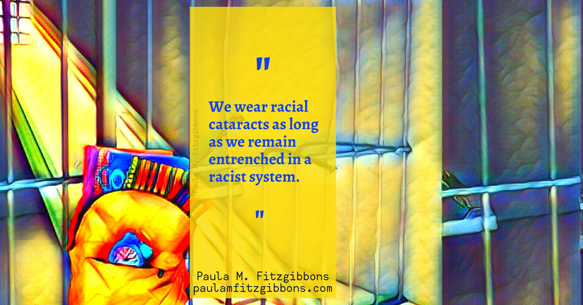 Battling the School to Prison Pipeline: A Primer for White Educators and Parents